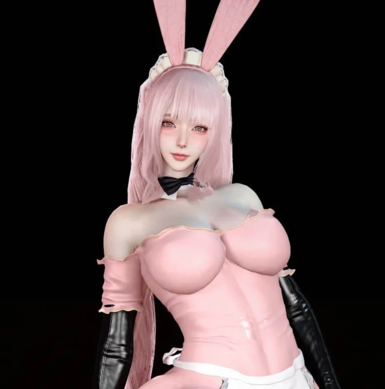 Dnaddr.PinkMaid_AFD_v1_5_25_10_24.1-入尘资源站